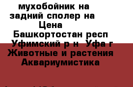 мухобойник на 2114, задний сполер на 2114 › Цена ­ 500 - Башкортостан респ., Уфимский р-н, Уфа г. Животные и растения » Аквариумистика   